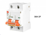 MCB LS BKH 2P 80-100A 10kA 230V