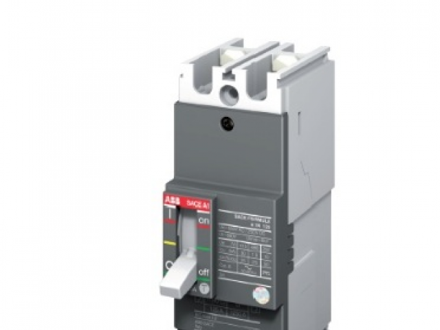 Mccb Abb 1SDA066504R1 2P 80A 30KA